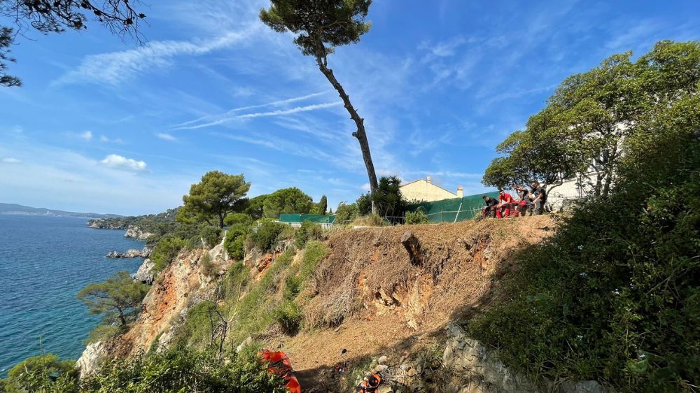 élagage à toulon.jpg