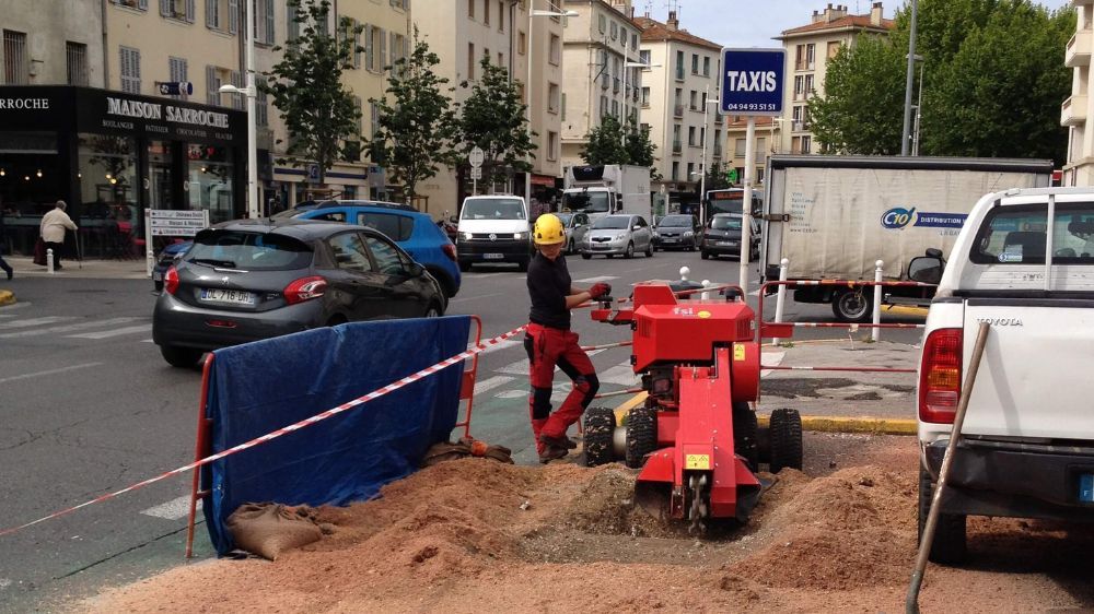 dessouchage à toulon.jpg